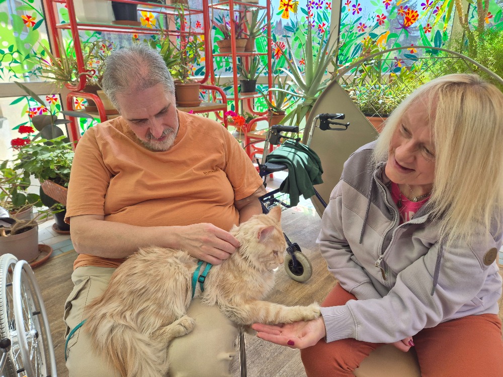 Setkání se zvířaty